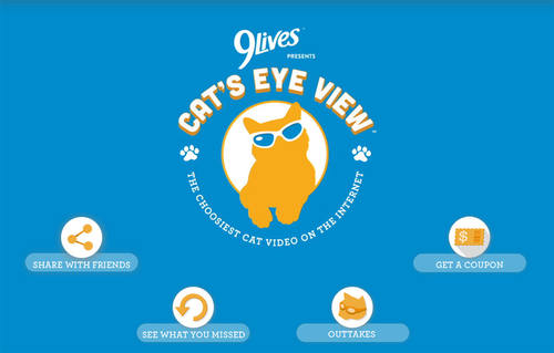 9Lives - Cat's Eye View