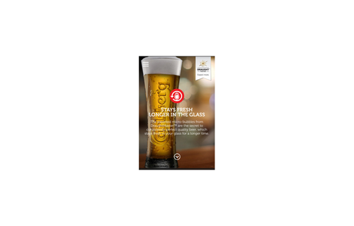 Carlsberg - Draught Master