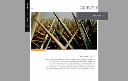 Corzo
