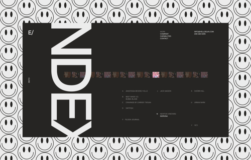 Elva Design Group