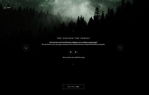 Enter The Suicide Forest