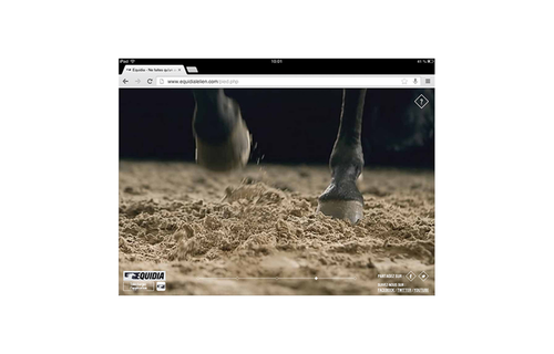 EQUIDIA - BE ONE WITH THE HORSE