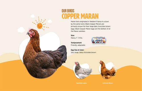 Happy Egg Co.