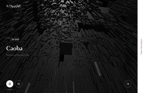 Hollow