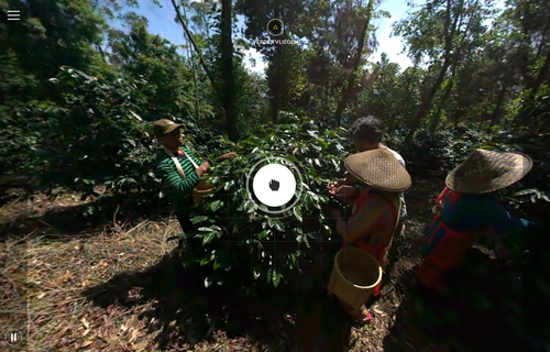 Nespresso's De Boer & de boer, Indonesia