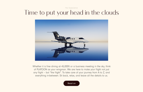 Platoon Aviation