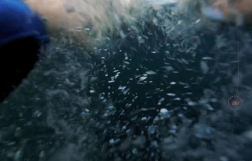 Sortie en mer (a trip out to sea)