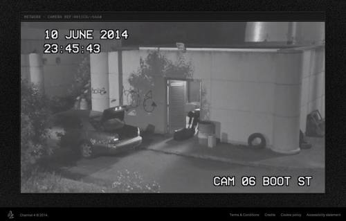 The Network Is Watching